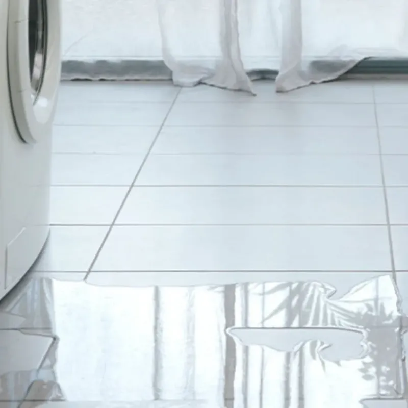 Appliance Leak Cleanup in Covington, WA